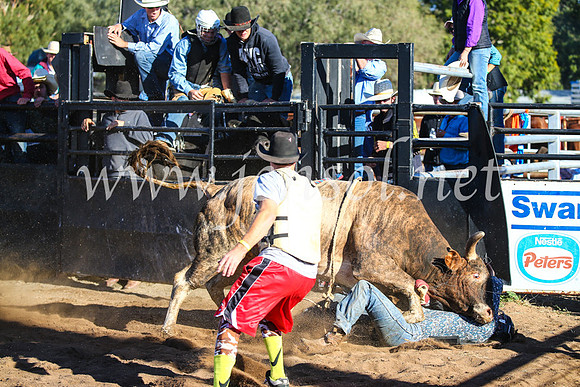 CoonambleRodeoCampdraftSun_2150