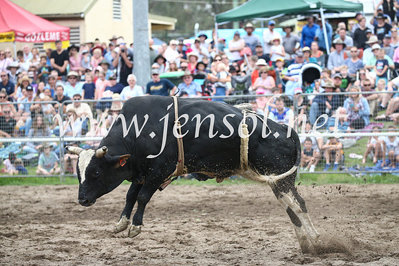MoruyaRodeo2017_6842