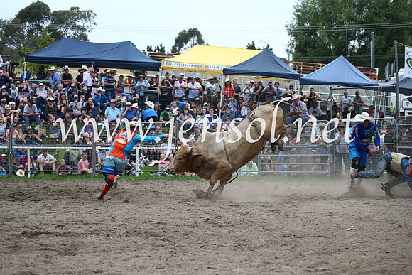 MoruyaRodeo2017_6680