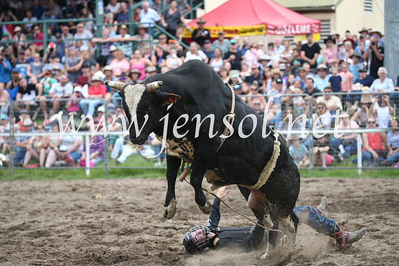 MoruyaRodeo2017_6834