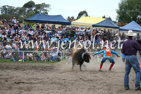 MoruyaRodeo2017_6699