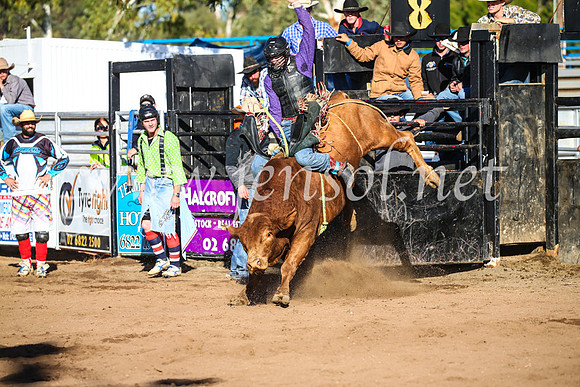 CoonambleRodeoCampdraftSun_2206