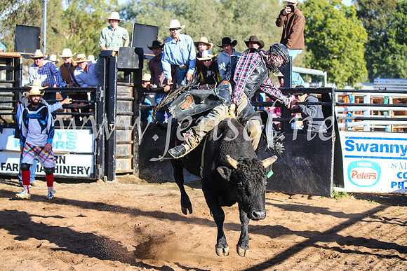 CoonambleRodeoCampdraftSun_2005