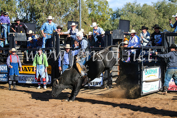 CoonambleRodeoCampdraftSun_2169