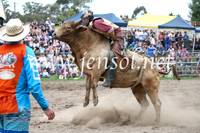MoruyaRodeo2017_6589