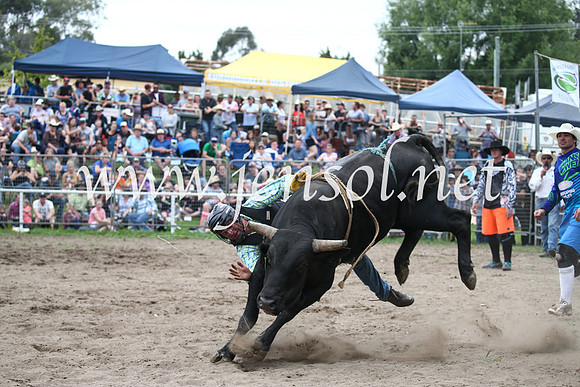 MoruyaRodeo2017_6747