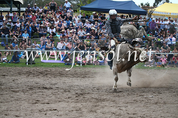 MoruyaRodeo2017_6881