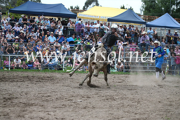 MoruyaRodeo2017_6886