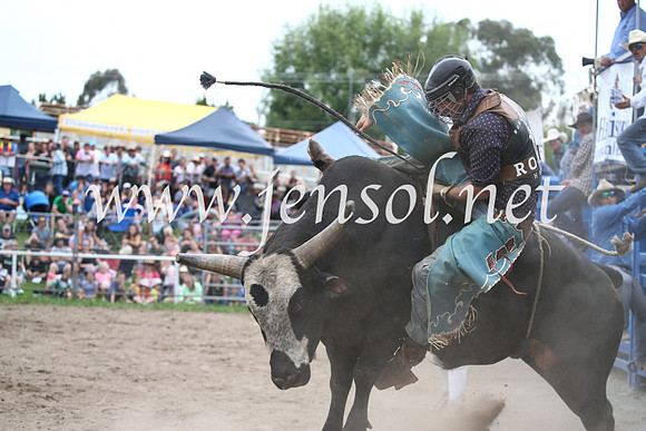 MoruyaRodeo2017_6675