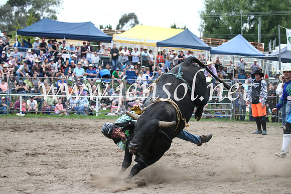 MoruyaRodeo2017_6745