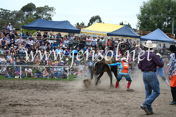 MoruyaRodeo2017_6700