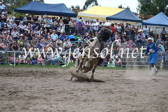 MoruyaRodeo2017_6885