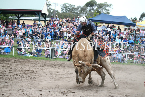 MoruyaRodeo2017_6555