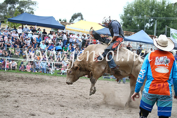 MoruyaRodeo2017_6531