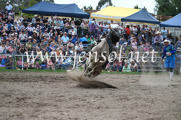 MoruyaRodeo2017_6887