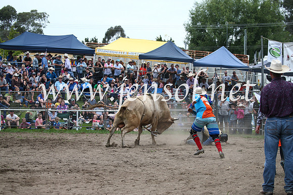 MoruyaRodeo2017_6679
