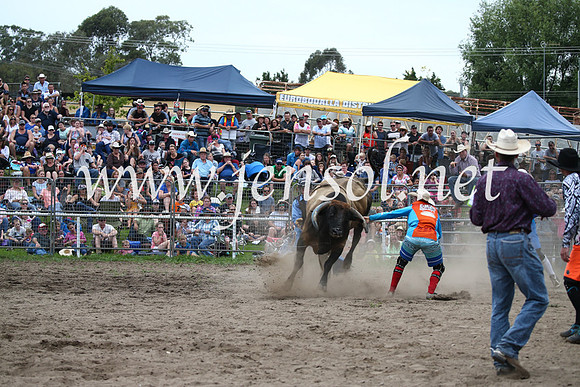 MoruyaRodeo2017_6702