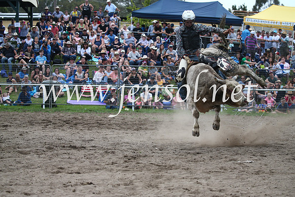 MoruyaRodeo2017_6882