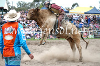 MoruyaRodeo2017_6588