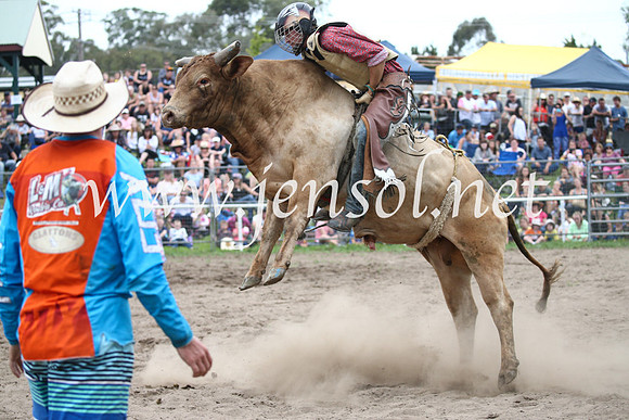 MoruyaRodeo2017_6588