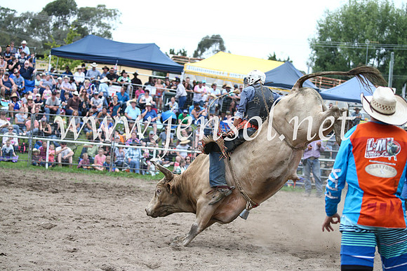 MoruyaRodeo2017_6541