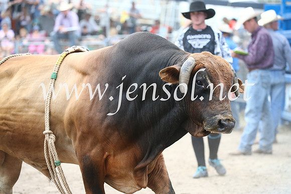 MoruyaRodeo2017_6739