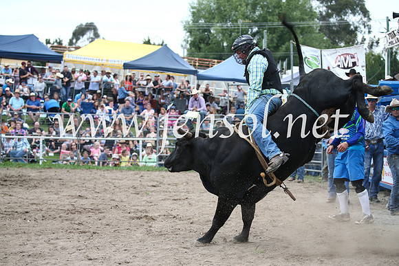 MoruyaRodeo2017_6752