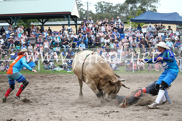 MoruyaRodeo2017_6578