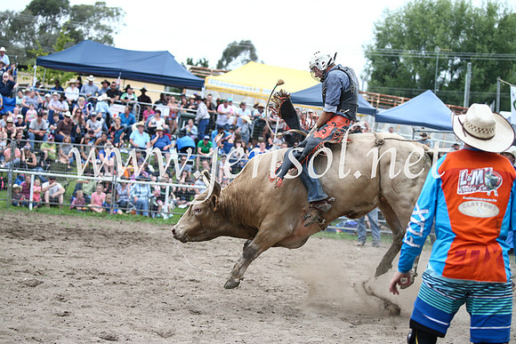 MoruyaRodeo2017_6530