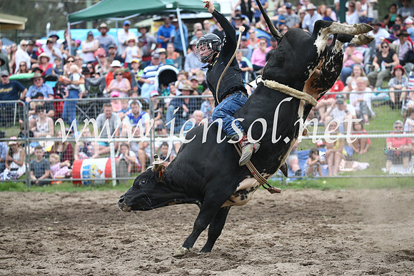 MoruyaRodeo2017_6822