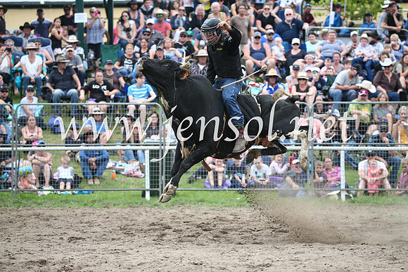 MoruyaRodeo2017_6813
