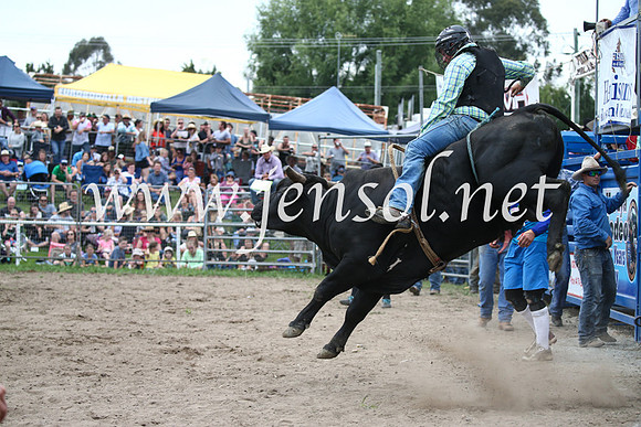 MoruyaRodeo2017_6749