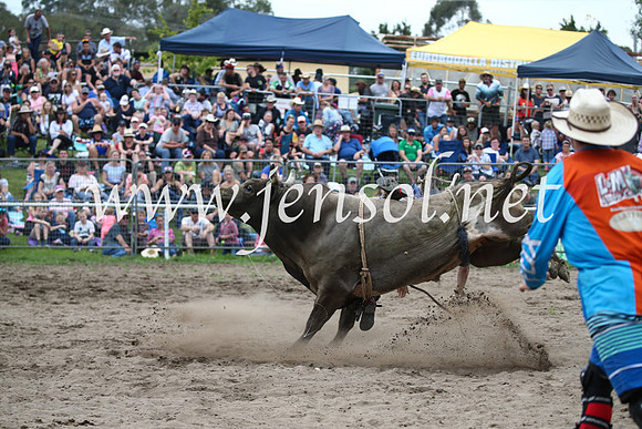 MoruyaRodeo2017_6740