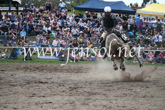 MoruyaRodeo2017_6884