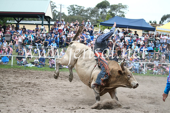 MoruyaRodeo2017_6552