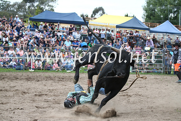 MoruyaRodeo2017_6761