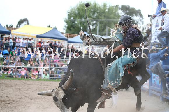 MoruyaRodeo2017_6674