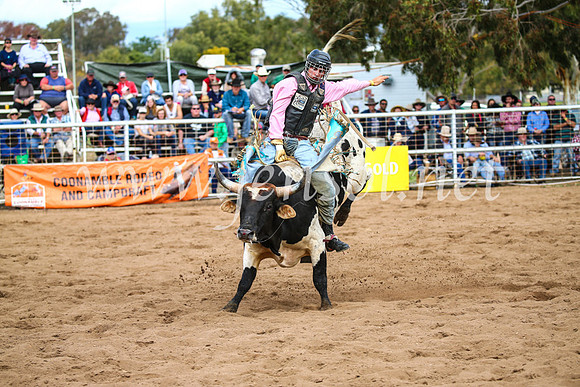 CoonambleRodeoCampdraftSun_2862