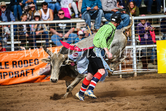 CoonambleRodeoCampdraftSun_2722