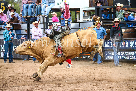 CoonambleRodeoCampdraftSun_2984
