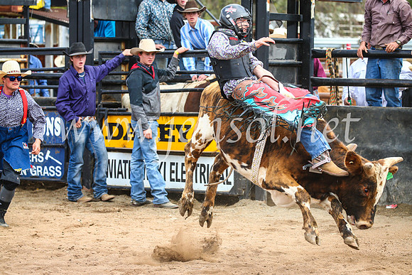 CoonambleRodeoCampdraftSun_2865