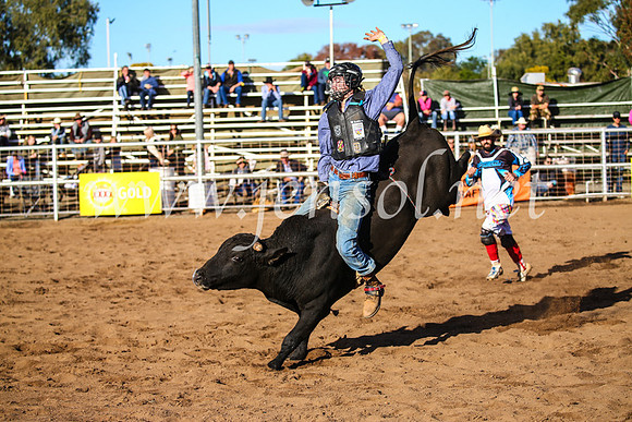 CoonambleRodeoCampdraftSun_1863