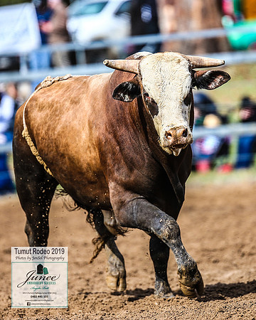 TumutRodeo2019_2082