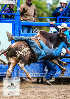 TumutRodeo2019_1925