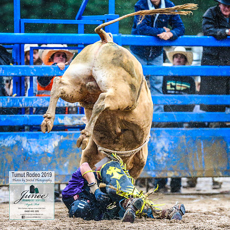 TumutRodeo2019_4229