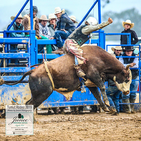 TumutRodeo2019_4118