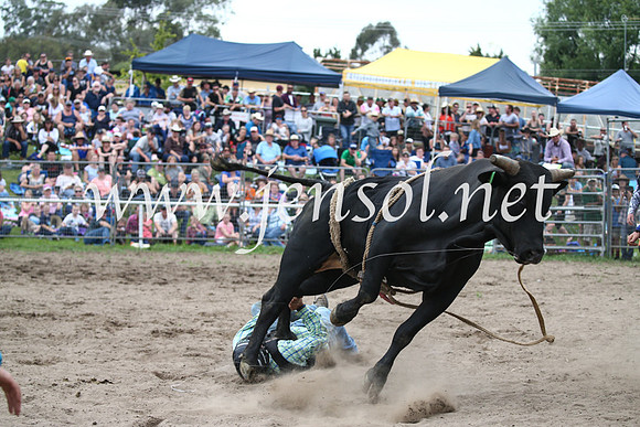 MoruyaRodeo2017_6762