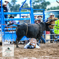 TumutRodeo2019_1842
