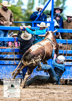 TumutRodeo2019_1942