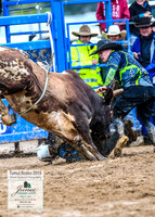 TumutRodeo2019_1946